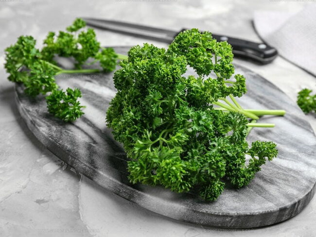 Overview of Parsley