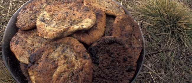 Bannock