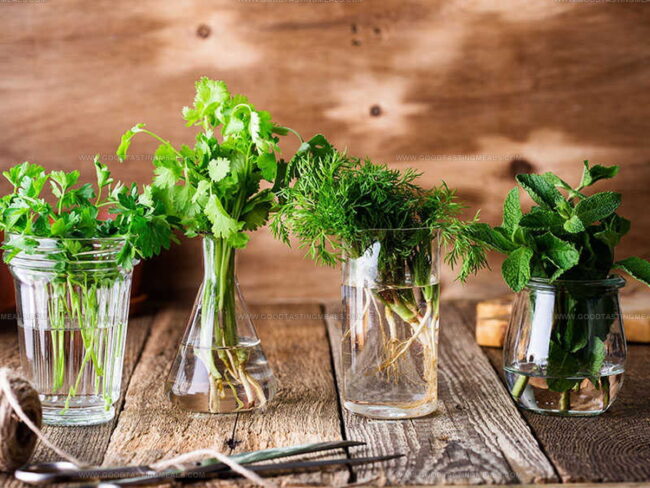 Easy Storage Tips for Parsley and Cilantro