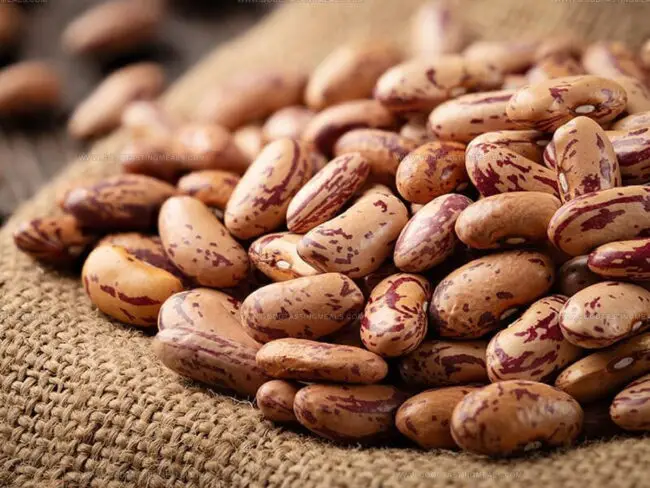 Do Pinto Beans Taste Like Kidney Beans?