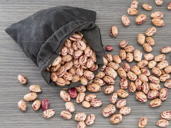 Flavor of Pinto Beans